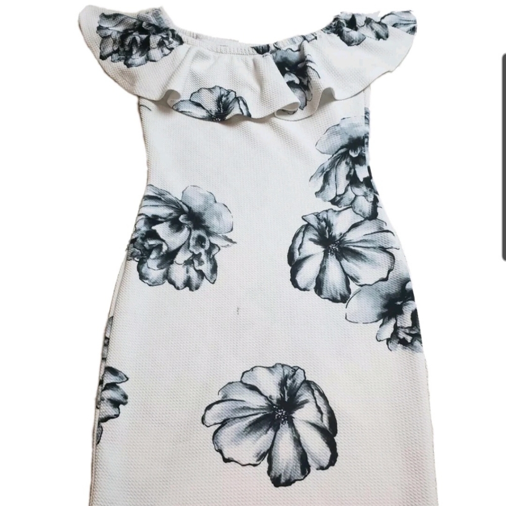IRIS Floral Dress Womens Size Small Ruffle Neckline White Blue Black Fitted